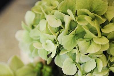 Floral table centerpiece