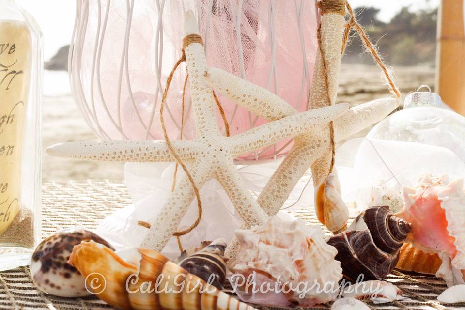 CaliGirl Photography