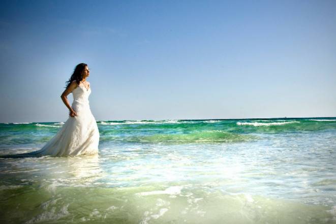 Dawn Chapman Whitty Photography