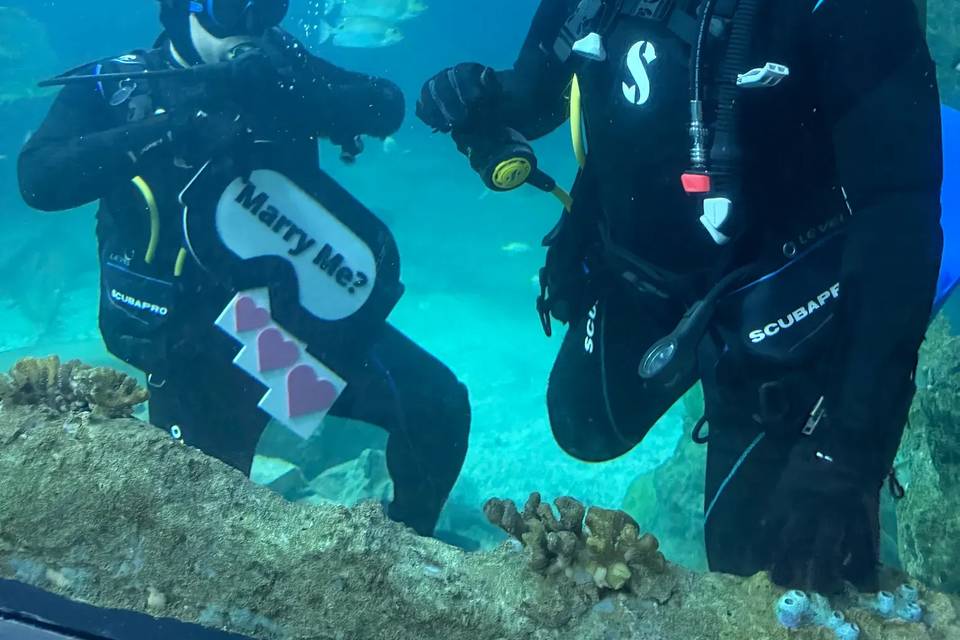 haejin-jewelry-underwater-scuba-diving-proposal-brooklyn-nyc.jpg