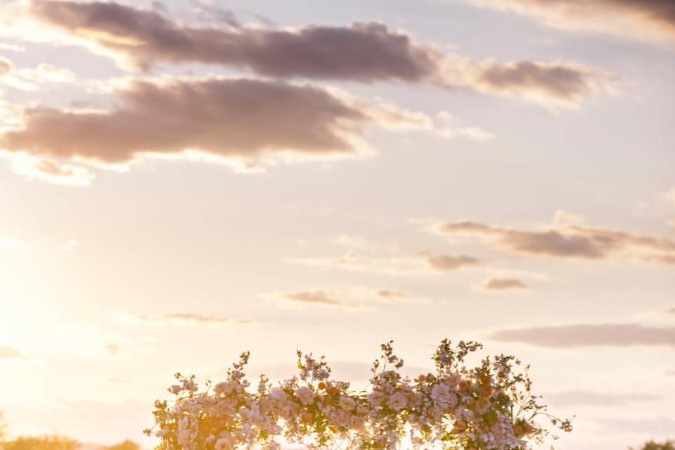 Sunset Dinner
