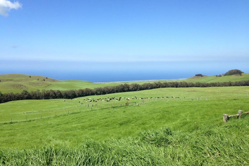 Kahua Ranch