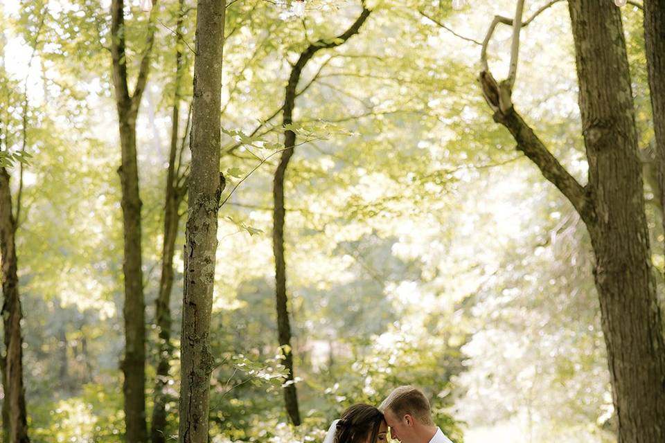 The Woods