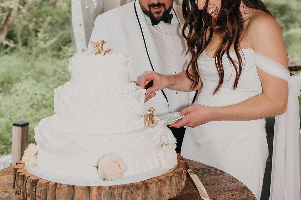 The Woods - Reception