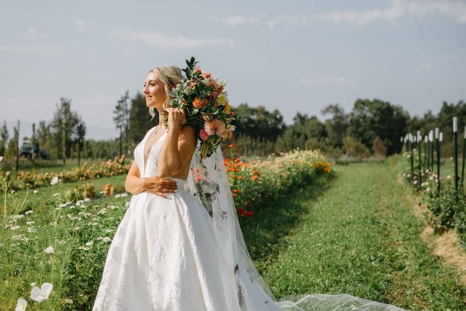 Pinehall - The Flower Fields