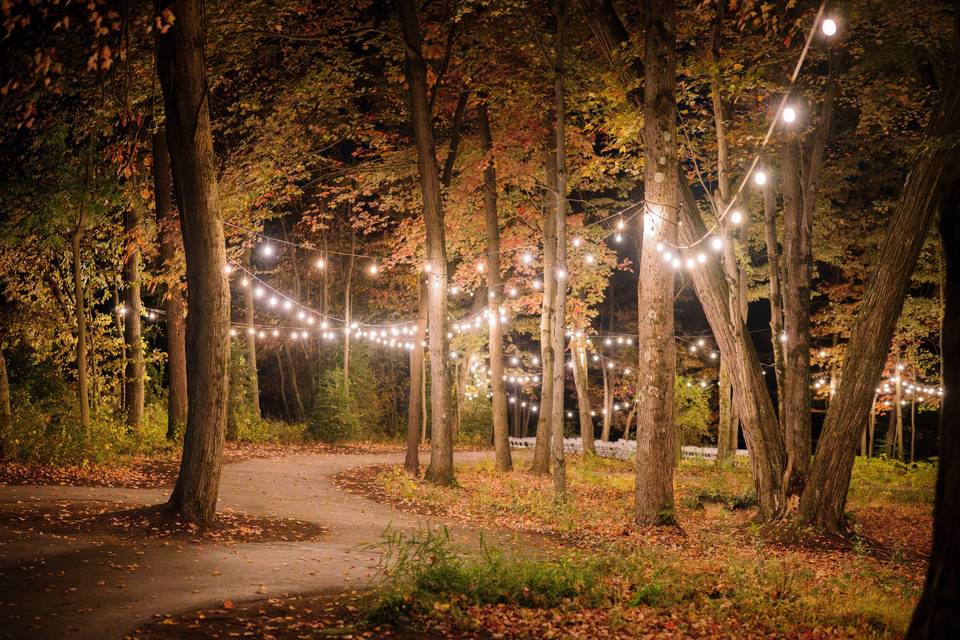 The Woods