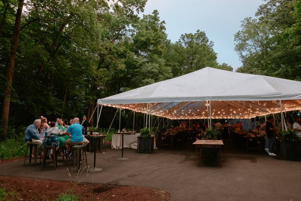 The Woods - Reception