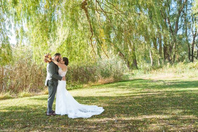 Under the weeping willow
