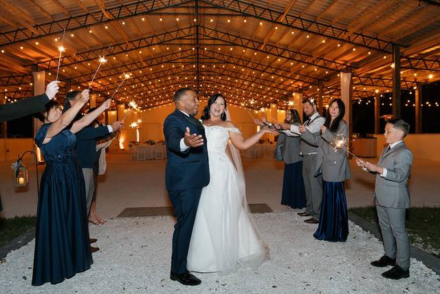 Wedding Reception