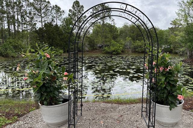 Pond photo view