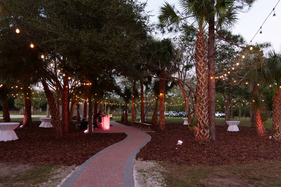 Fire Pit Area