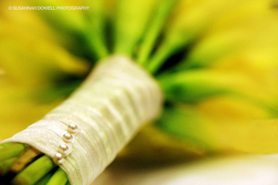 susannah dowell photography