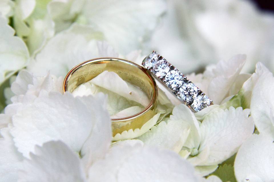 susannah dowell photography