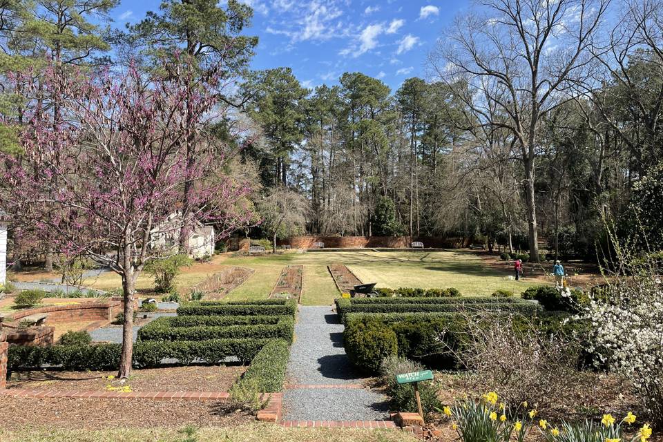 Towards pond long bed gardens