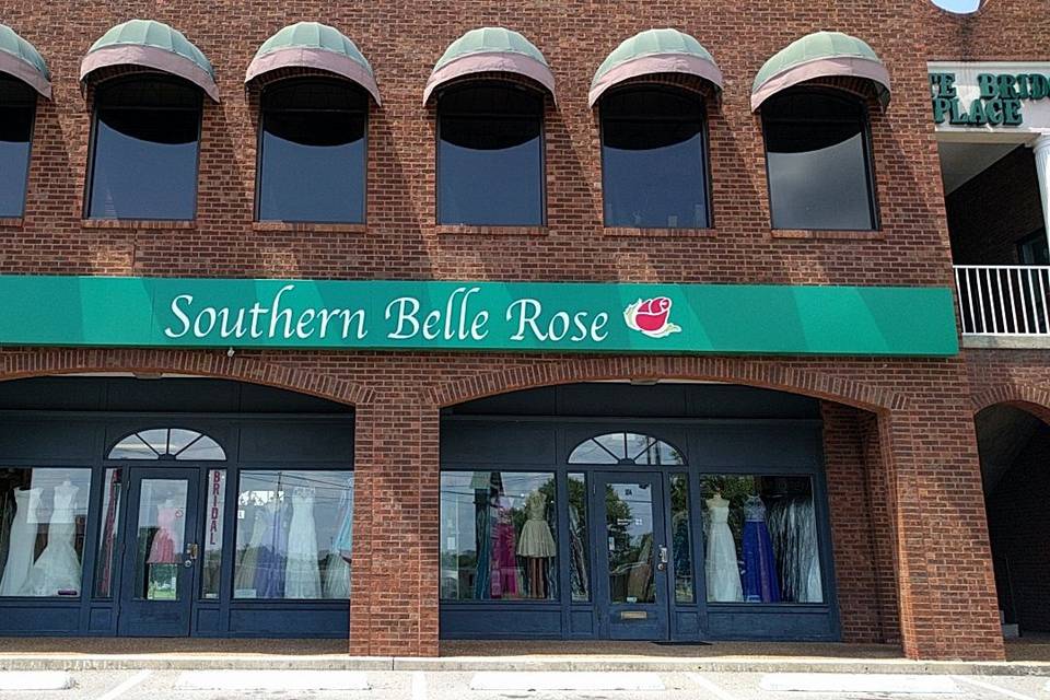 Southern Belle Rose