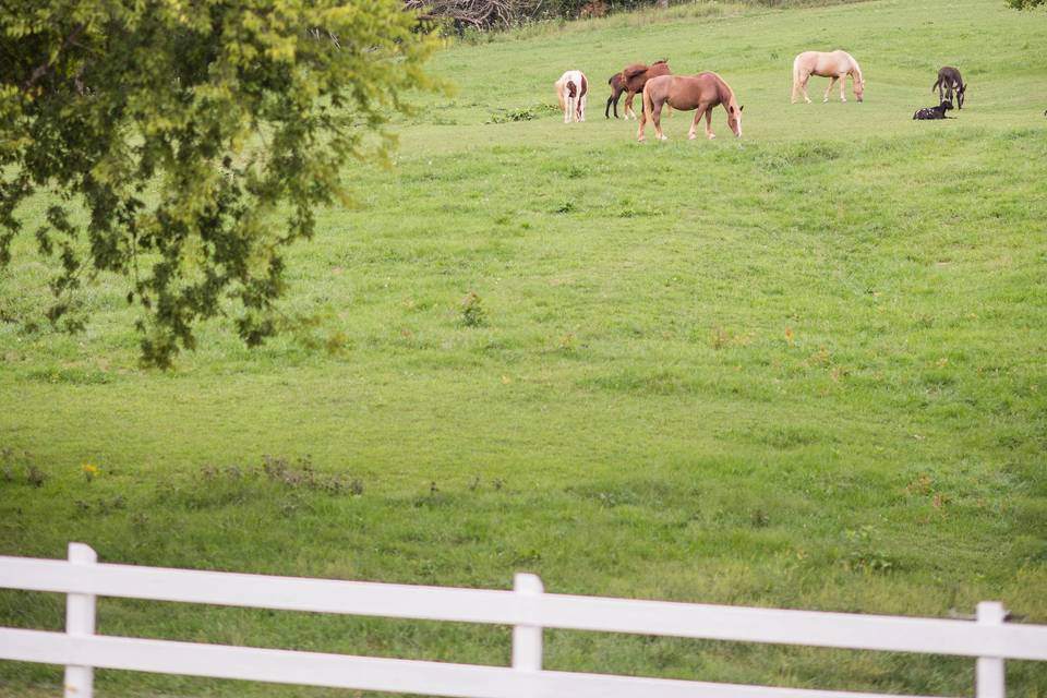 Rock Creek Farm