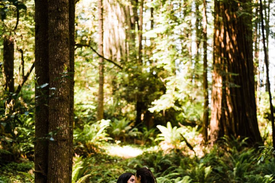 Redwoods Elopement