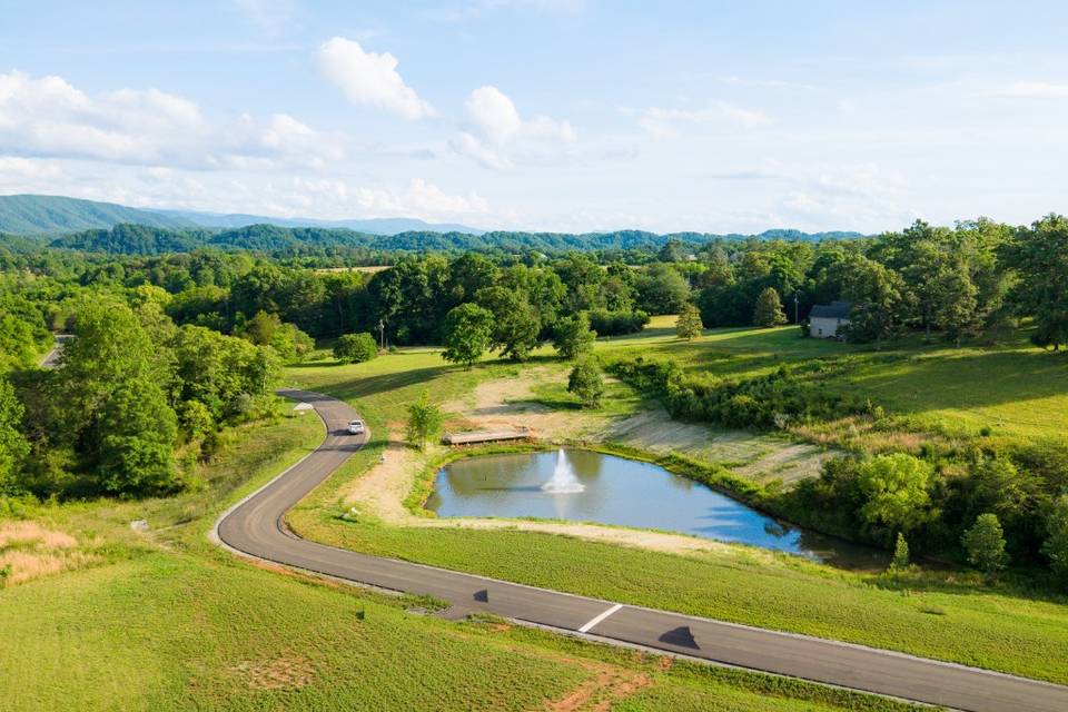 Pond