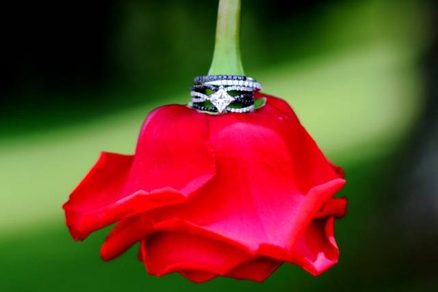 Lokmer Photography Inc.
