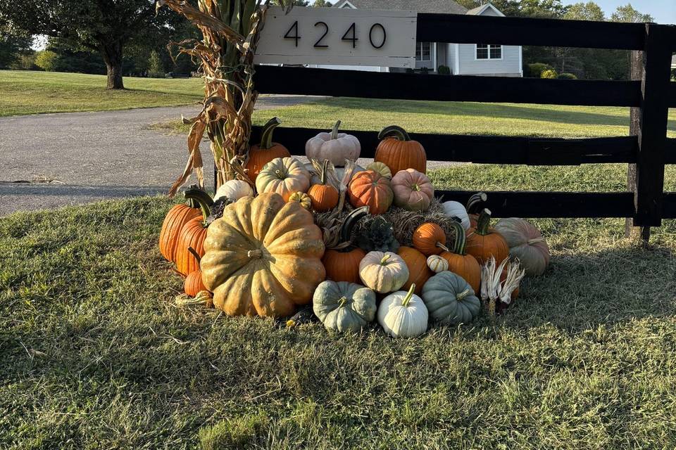 Fall Display