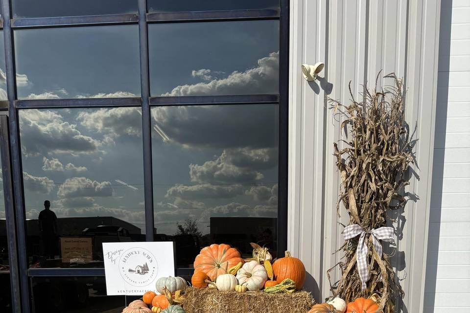 Pumpkin Display