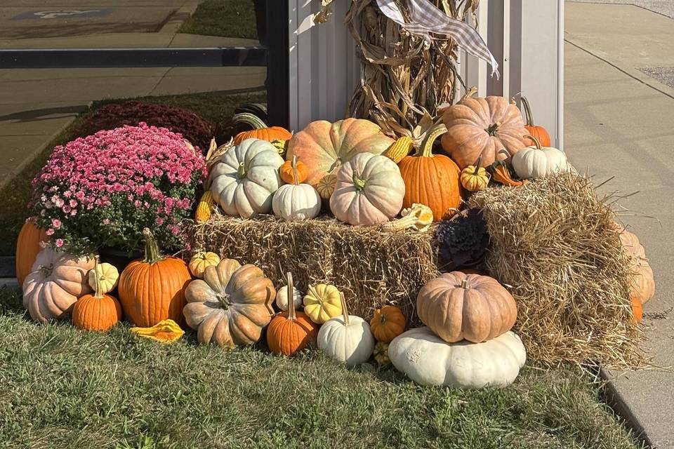 Fall Decor