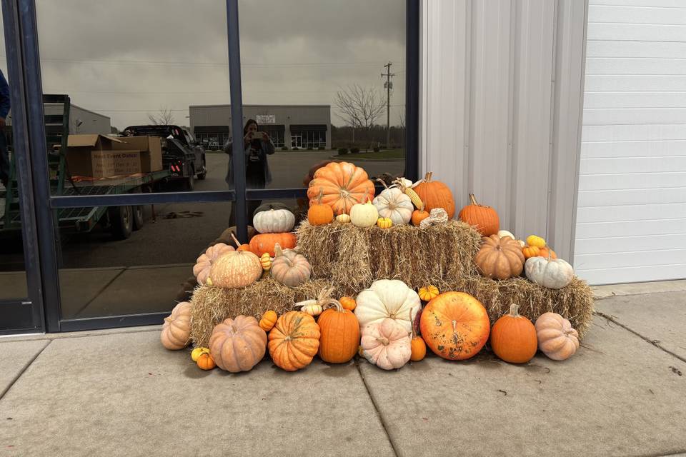 Fall Photo backdrop