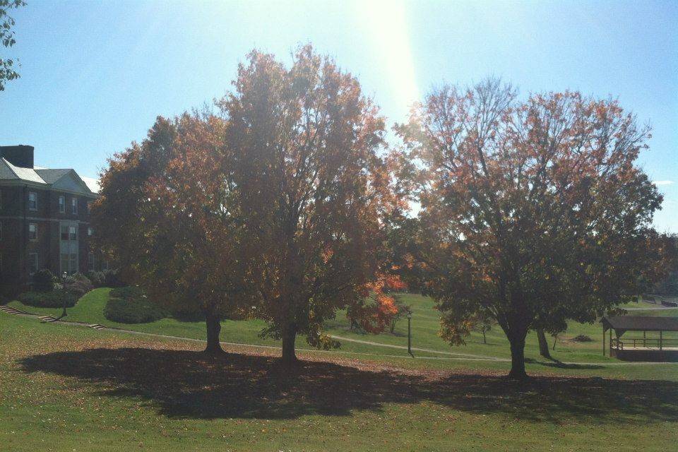 The Florence Elston Inn and Conference Centerlawn