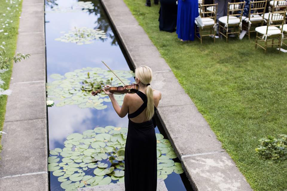 Outdoor Ceremony View