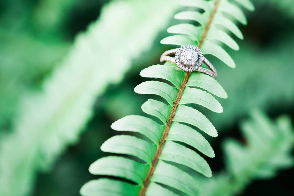 Love your ring?  We do too!  Engagement photography ideas in Tampa Bay.