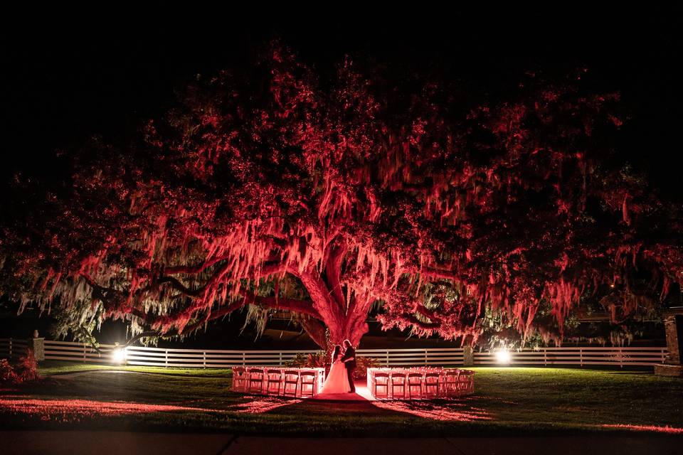 Tampa Wedding Photographer