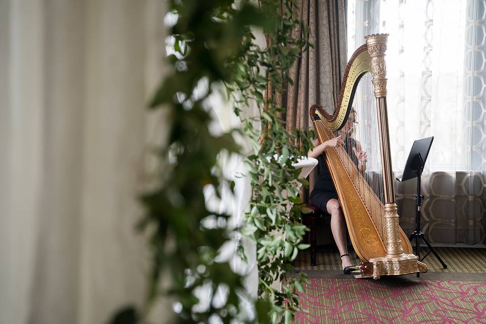 Photo & Harp for Weddings