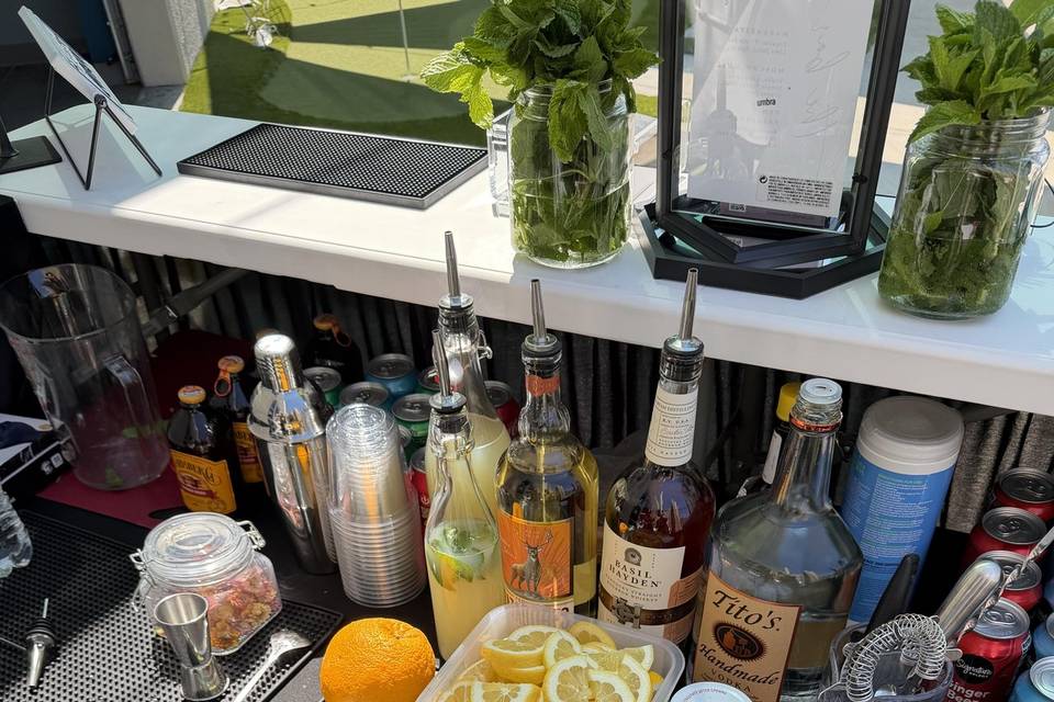 Behind the bar
