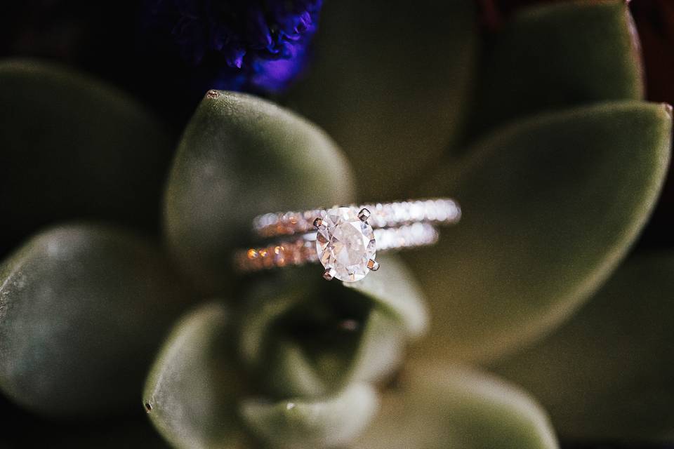Wedding rings | Photo by Infinite Focus