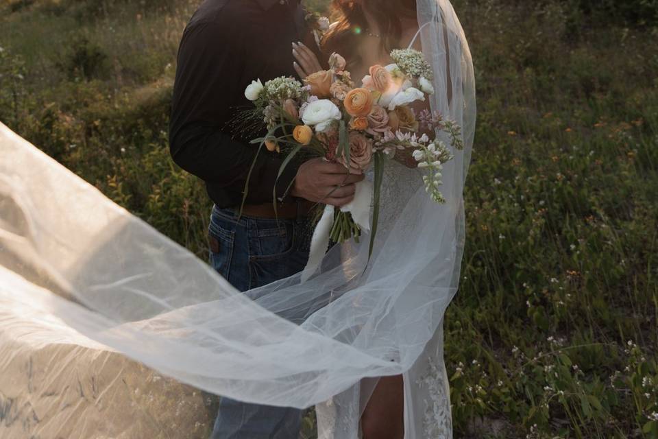 Golden Hour Field