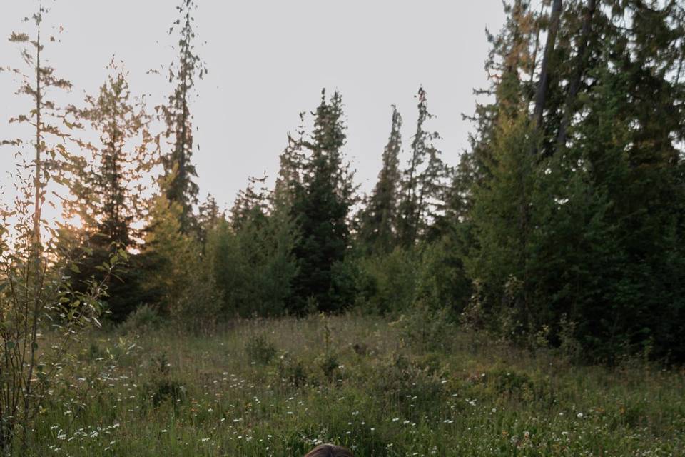 Field