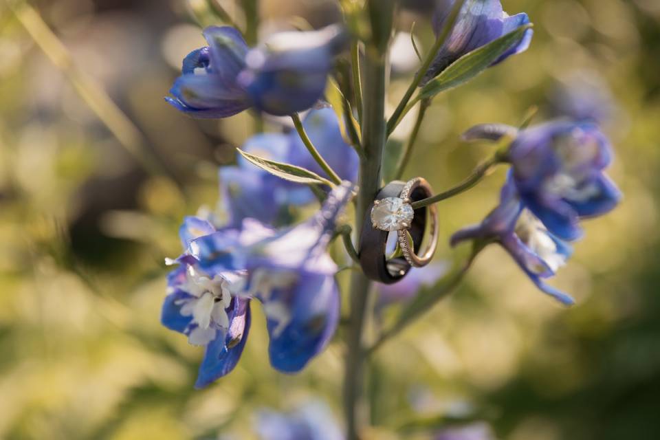 Garden Rings