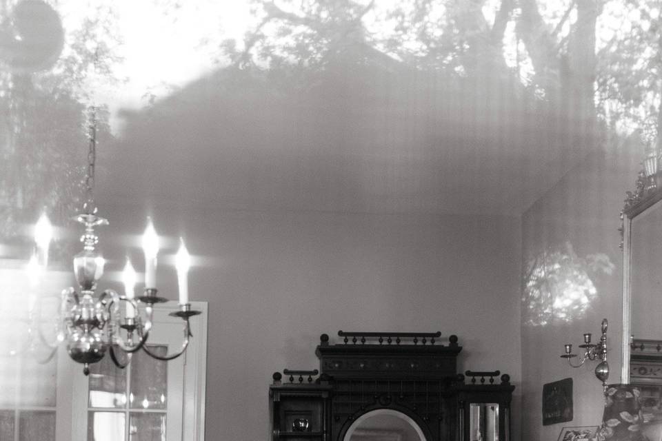 Bridal Portrait L+H