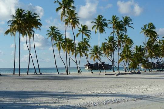 Maldives
