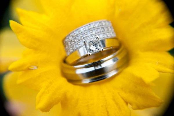 Wedding rings in a spring time daffodil.