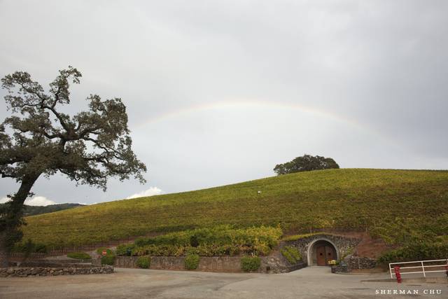 Kunde Family Winery