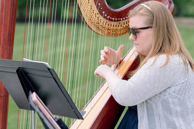 Andrea McGaugh, Harpist