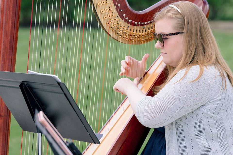 Andrea McGaugh, Harpist