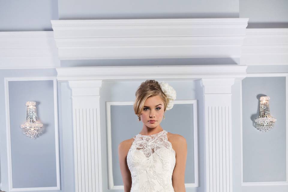 Lillian West
6329
Beaded Soutache lace fit and flare sleeveless gown with jewel neckline and an open illusion back. The gown is finished by a side zipper and a chapel length train.