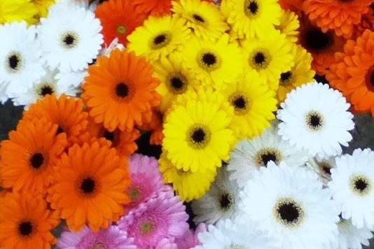 B Cazwells Floral Dezines