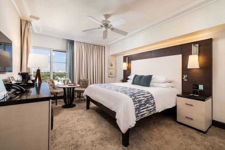 City View Guestroom
