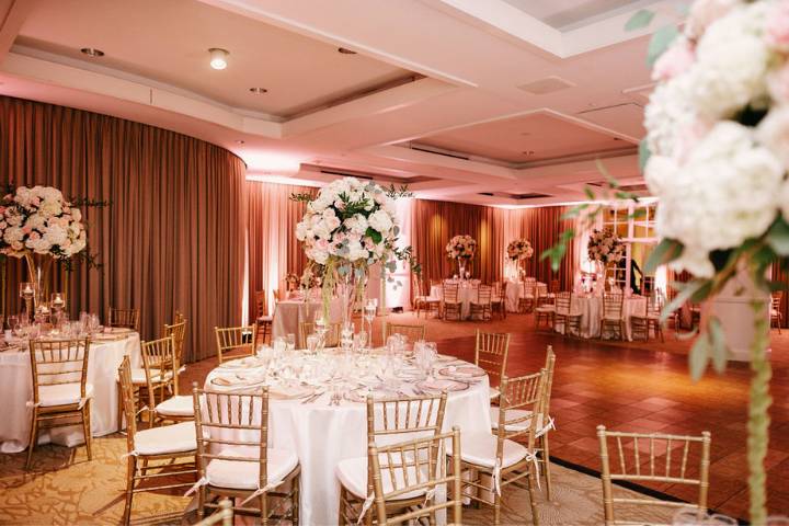 Queen Palm Ballroom