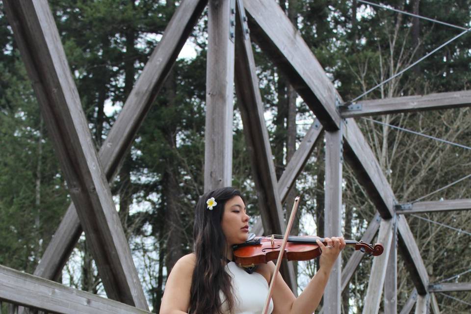 Playing an outdoor concert