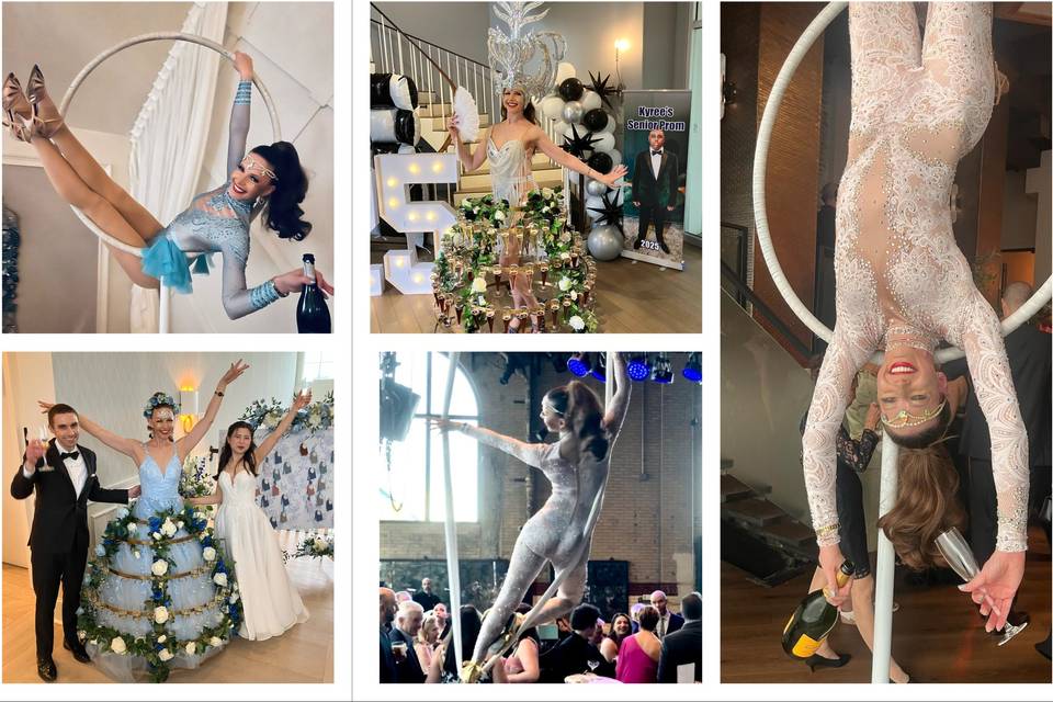 Malin Aerial Dance