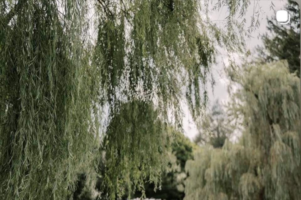 Lakeside